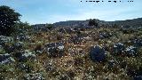 Loma de las Chozuelas. Cumbre