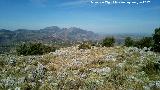 Loma de las Chozuelas. Vistas hacia la Sierra de la Caracolera