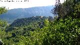 Calar del Covarrn. Desde el Barranco de los Corzos