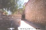 Ermita de San Cosme y San Damin. Lateral