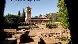 Alhambra. Medina