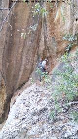 Pinturas rupestres del Abrigo de la Piedra del Agujero II. Abrigo