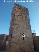 Castillo de las Torres Oscuras. 