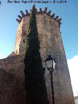 Castillo de las Torres Oscuras. Torre Ochavada