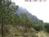 Aznaitn. Ladera norte del Aznaitn de Jimena