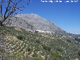 Aznaitn. Desde la Cabecera del Ro Albanchez