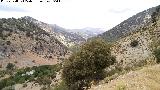 Barranco de los Alamillos. 