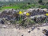 Castillo de Torres. Parapetos de la azotea o muros de la tercera planta