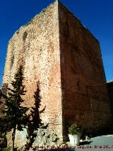 Castillo de Torres. 