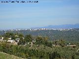 beda. Desde Baeza