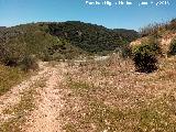 Vega de los Lobos y Azoreros. Paraje de La Zarza