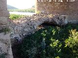 Puente Viejo de Ariza. 