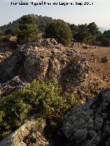 La Torca. Al fondo el Cerro Mosco