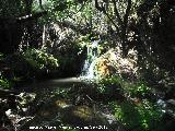 Arroyo Retozadero