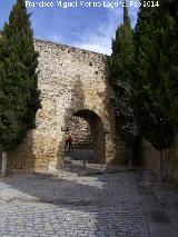 Puerta de Granada. Extramuros