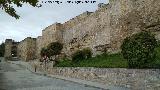 Muralla de beda. Puerta de Quesada y Muralla de San Milln