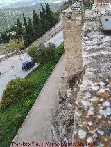 Muralla de San Milln. Desde el adarve