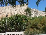 Muralla de Saludeja. 