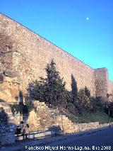 Muralla de Saludeja. 