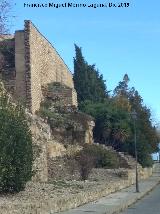 Torre�n de Saludeja V. 