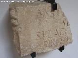 Salaria. Inscripcin romana de la primera mitad del siglo I d.C. Museo Arqueolgico de beda