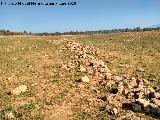 Restos de muros de parcelacin del Guadaln. Muros de la orilla de la finca del Vizconde