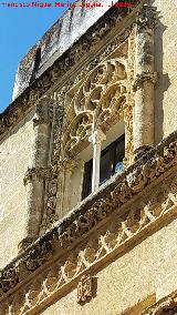 Palacio del Conde del �guila. Ventana