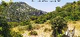 Sendero Garganta Verde