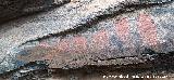 Pinturas rupestres del Abrigo del Guadal�n III. Barras
