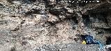 Pinturas rupestres del Abrigo del Guadal�n III. Abrigo