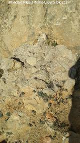 Muralla de Ja�n. Torre�n Sur III. Final del lienzo musulm�n