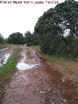 Va Herclea o Camino de Anbal. 