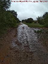 Va Herclea o Camino de Anbal. 