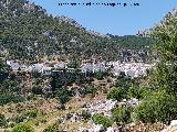 Grazalema