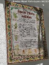 Grazalema. Plantas medicinales