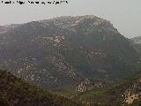 Ventisqueros. Desde el Cordel de Jan en Campillo de Arenas