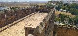 Alc�zar de la Puerta de Sevilla. Azotea