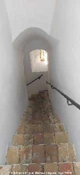 Alc�zar de la Puerta de Sevilla. Escaleras de la Torre del Oro
