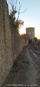 Castillo de Alcal� de Guadaira. Muralla