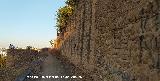 Castillo de Alcal� de Guadaira. Muralla