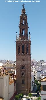 Iglesia de San Pedro. Campanario