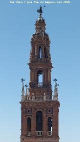 Iglesia de San Pedro. Detalle del campanario