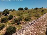 Poblado prehistrico del Cerro del Salto. 