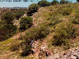 Poblado prehistrico del Cerro del Salto. Lnea de muralla