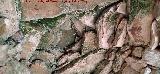 Caracol Integrado. Bveda