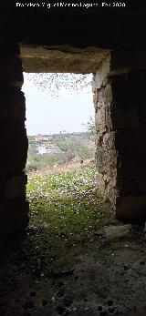 Caracol Testigo. Puerta