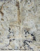 Petroglifos rupestres de la Piedra Hueca Chica. Petroglifo II smbolo 13