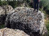 Petroglifos rupestres de la Piedra Hueca Grande. Piedras laterales con cazoletas y canales