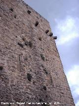 Castillo de La Moraleja. Matacanes y saeteras del torren menor