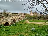 Puente Romano. Con Salamanca al fondo